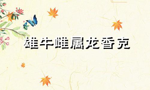 雄牛雌属龙香克