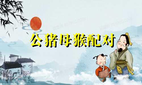 公猪母猴配对