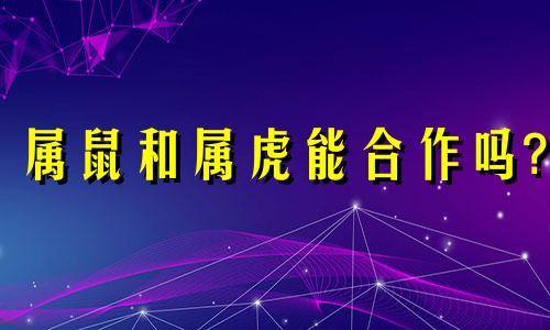 属鼠和属虎能合作吗?