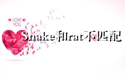 Snake和rat不匹配