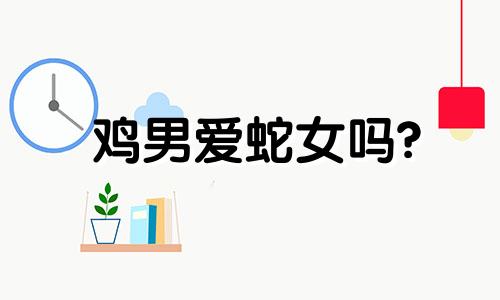 鸡男爱蛇女吗?