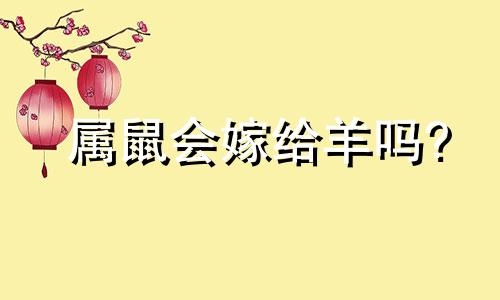 属鼠会嫁给羊吗?