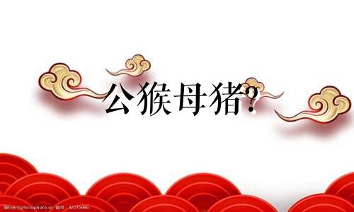 公猴母猪?