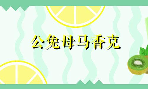 公兔母马香克