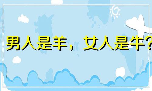 男人是羊,女人是牛?