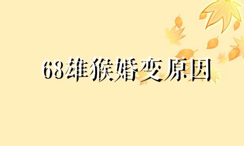 68雄猴婚变原因