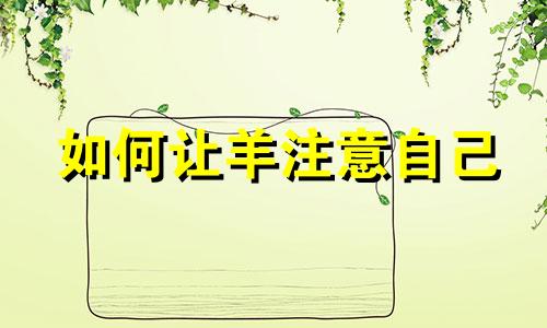 如何让羊注意自己