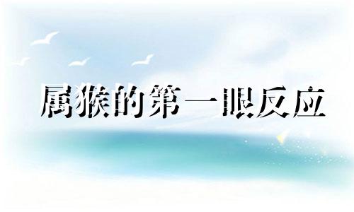 属猴的第一眼反应