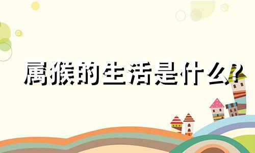 属猴的生活是什么?