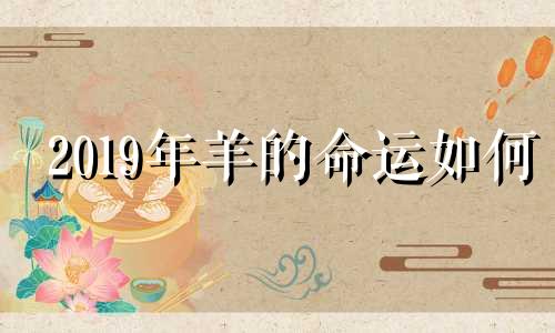 2019年羊的命运如何