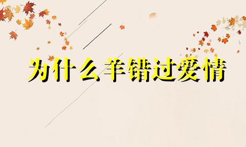 为什么羊错过爱情