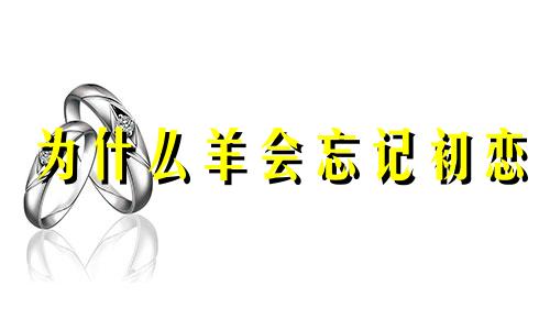 为什么羊会忘记初恋