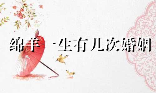 绵羊一生有几次婚姻