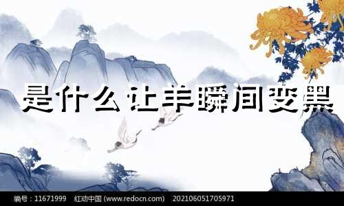 是什么让羊瞬间变黑