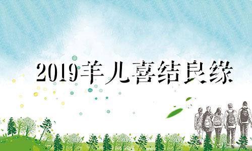 2019羊儿喜结良缘