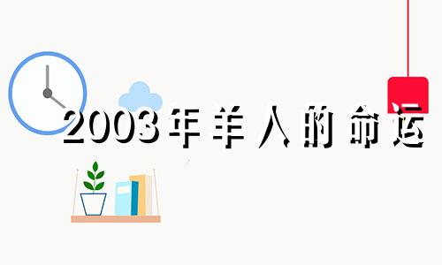 2003年羊人的命运