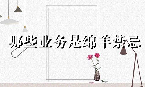 哪些业务是绵羊禁忌