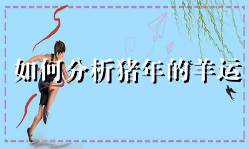 如何分析猪年的羊运