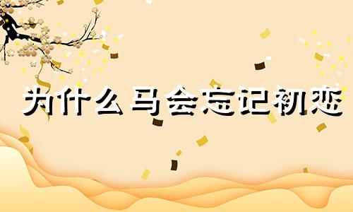 为什么马会忘记初恋