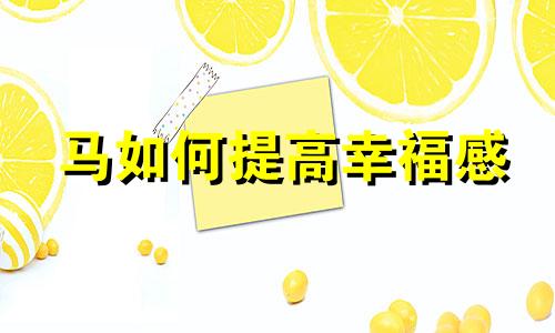 马如何提高幸福感
