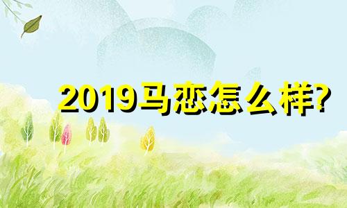 2019马恋怎么样?