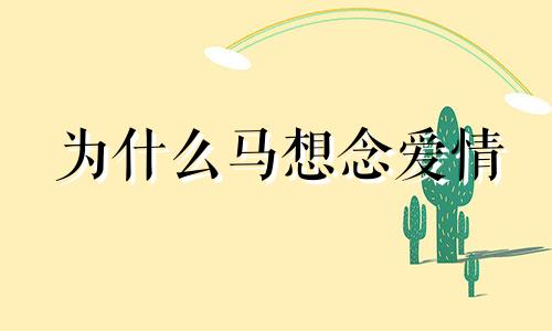 为什么马想念爱情