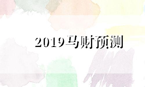 2019马财预测