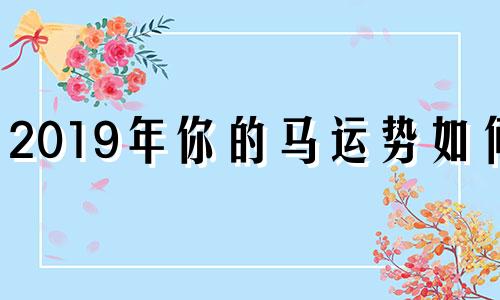 2019年你的马运势如何?