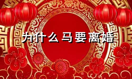 为什么马要离婚