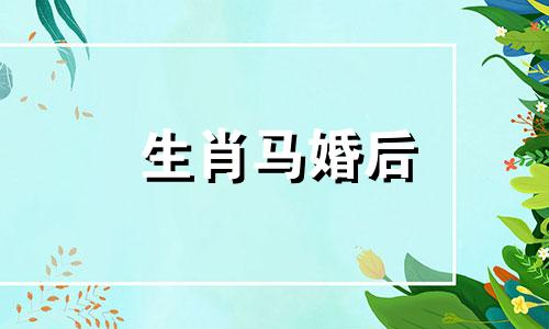 生肖马婚后
