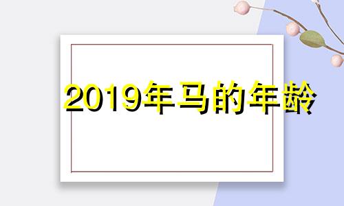 2019年马的年龄