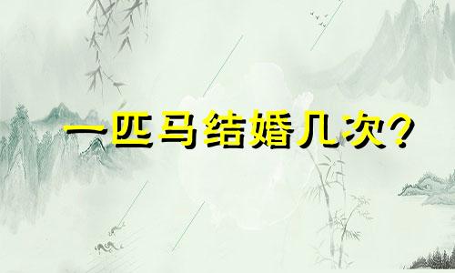 一匹马结婚几次?
