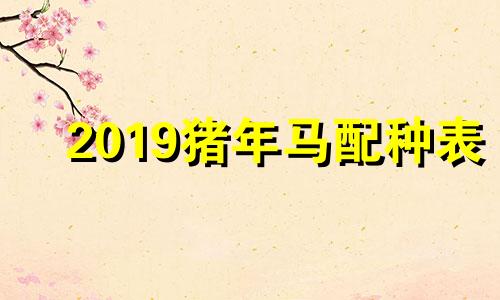 2019猪年马配种表