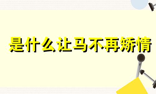 是什么让马不再矫情