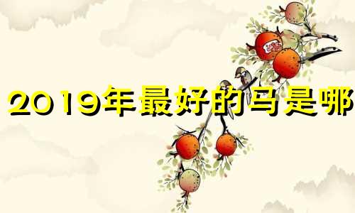 2019年最好的马是哪匹?