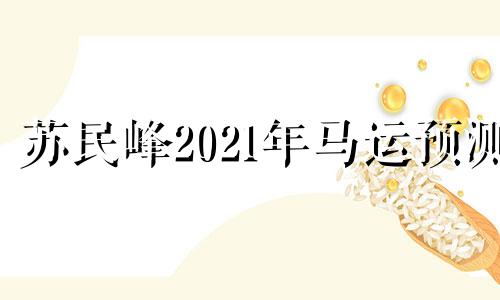 苏民峰2021年马运预测