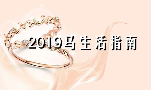 2019马生活指南