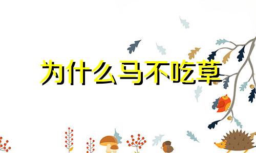 为什么马不吃草