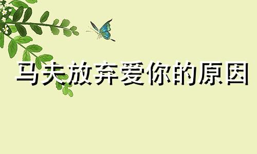马夫放弃爱你的原因