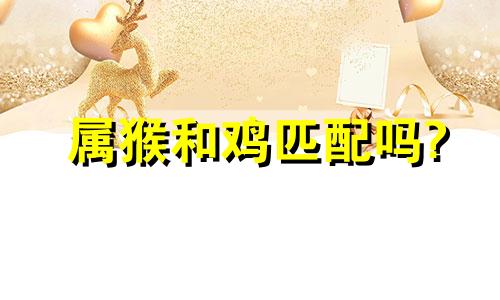 属猴和鸡匹配吗?
