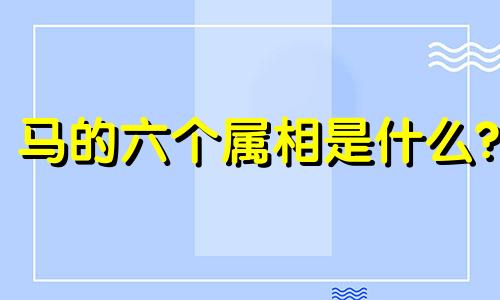 马的六个属相是什么?