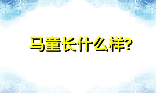 马童长什么样?