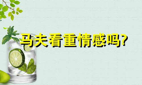 马夫看重情感吗?