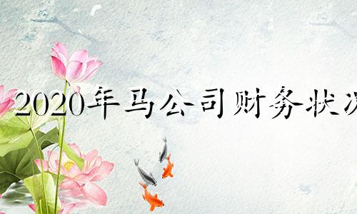 2020年马公司财务状况