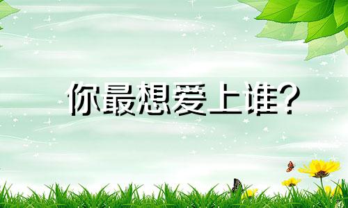 你最想爱上谁?