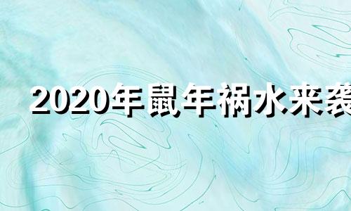 2020年鼠年祸水来袭
