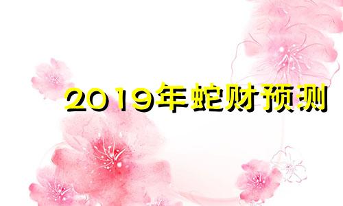 2019年蛇财预测