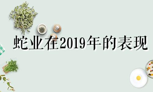 蛇业在2019年的表现