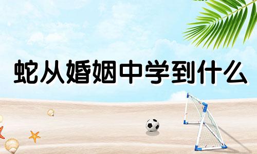 蛇从婚姻中学到什么