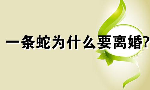 一条蛇为什么要离婚?